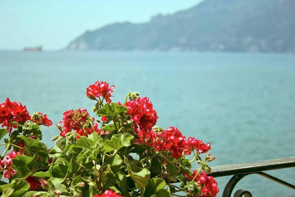 B&B Fronte Del Mare Salerno Ngoại thất bức ảnh
